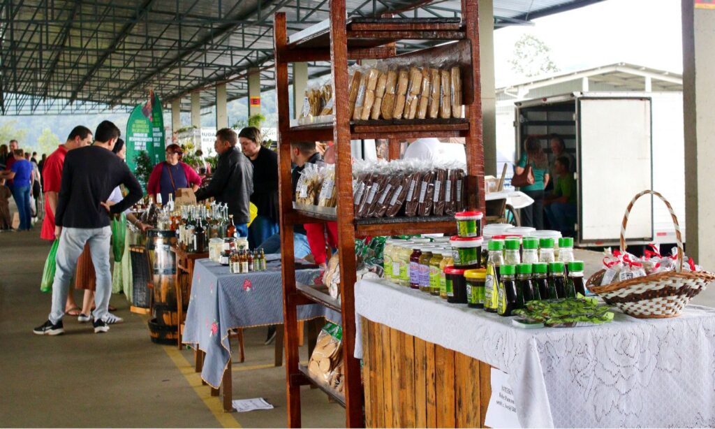 Feira Direto do Campo
