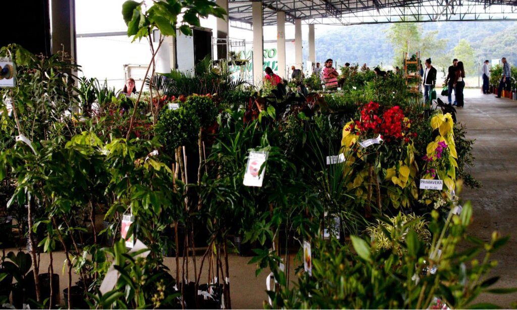 Feira Direto do Campo celebra chegada da primavera com diversas atrações
