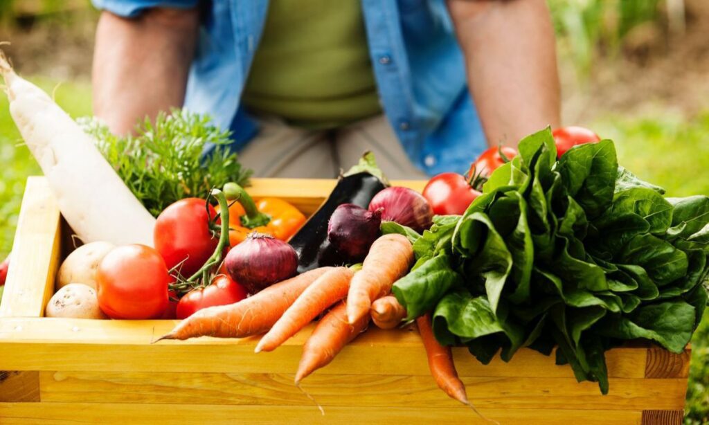Abertas as inscrições para a 4ª Conferência Municipal de Segurança Alimentar e Nutricional de Joinville