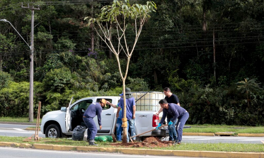 Canteiro do Eixo Sul recebe arborização em alusão à Semana da Árvore