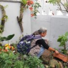 Mulher com colete e mochila está agachada em jardim virando um vaso que continha água