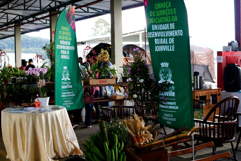 Feira Direto do Campo celebra primavera com flores e atrações neste final de semana