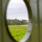 Observatório de aves com espécies ao fundo