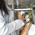 Mulher segura mudas de árvores nas mãos