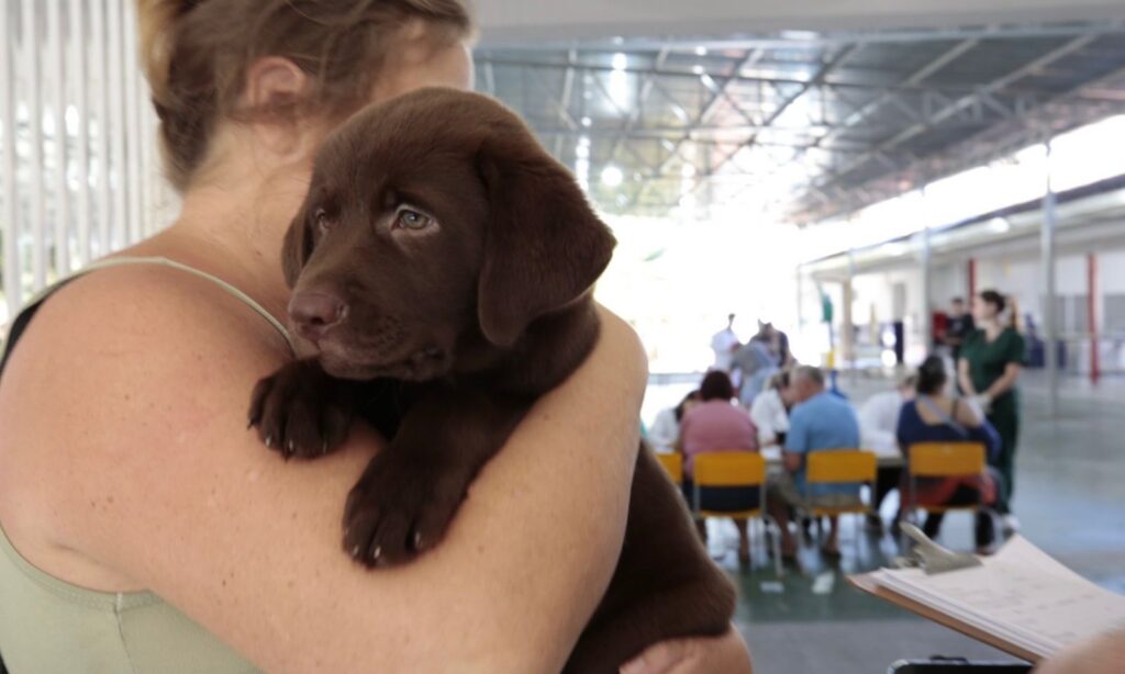 Centro de Bem-Estar Animal de Joinville realiza mutirão de microchipagem de cães e gatos no Paranaguamirim