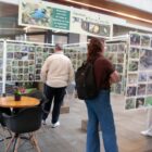 Três pessoas em pé conferem fotos de aves