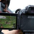 Mão segura câmera fotográfica que mostra foto de ave