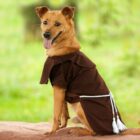 Cão marrom vestido com roupa de São Francisco