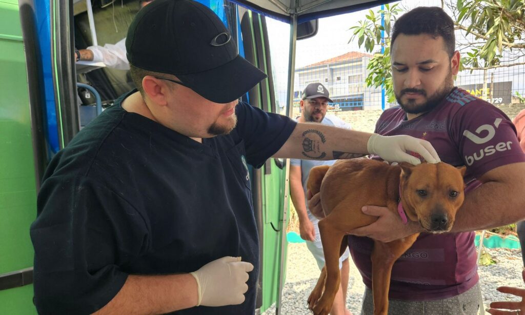 Mutirão de castração atende mais de 200 animais no Paranaguamirim