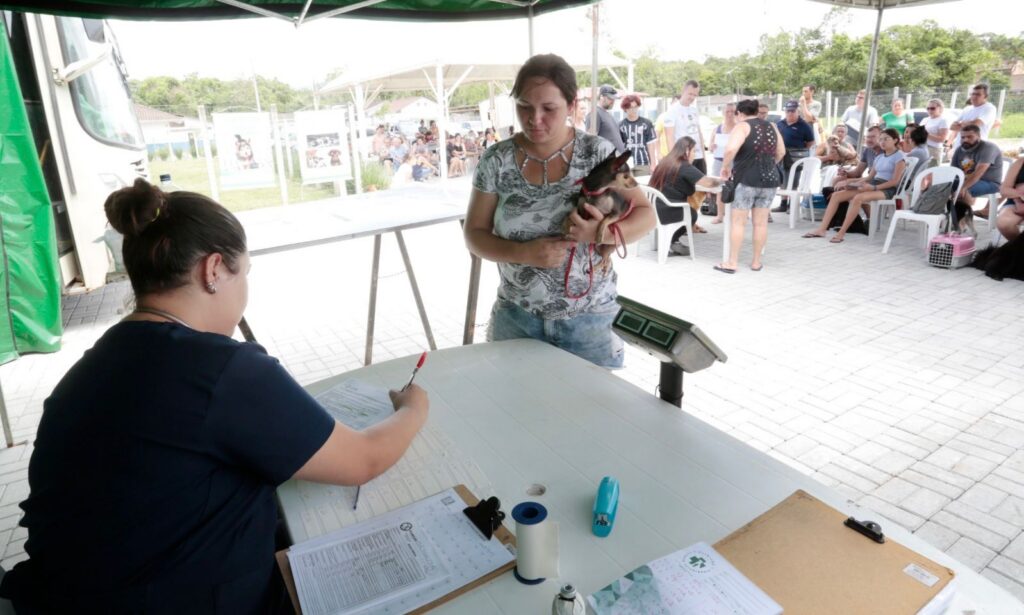 Inscrições encerradas para o mutirão de castração de cães e gatos no Paranaguamirim