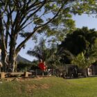 Crianças brincam em balanço em propriedade rural