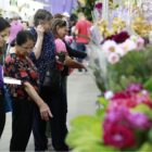 Mulheres passeiam por exposição de flores