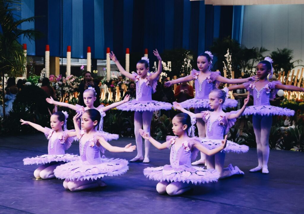 Casa da Cultura promove apresentações de dança e música em Joinville