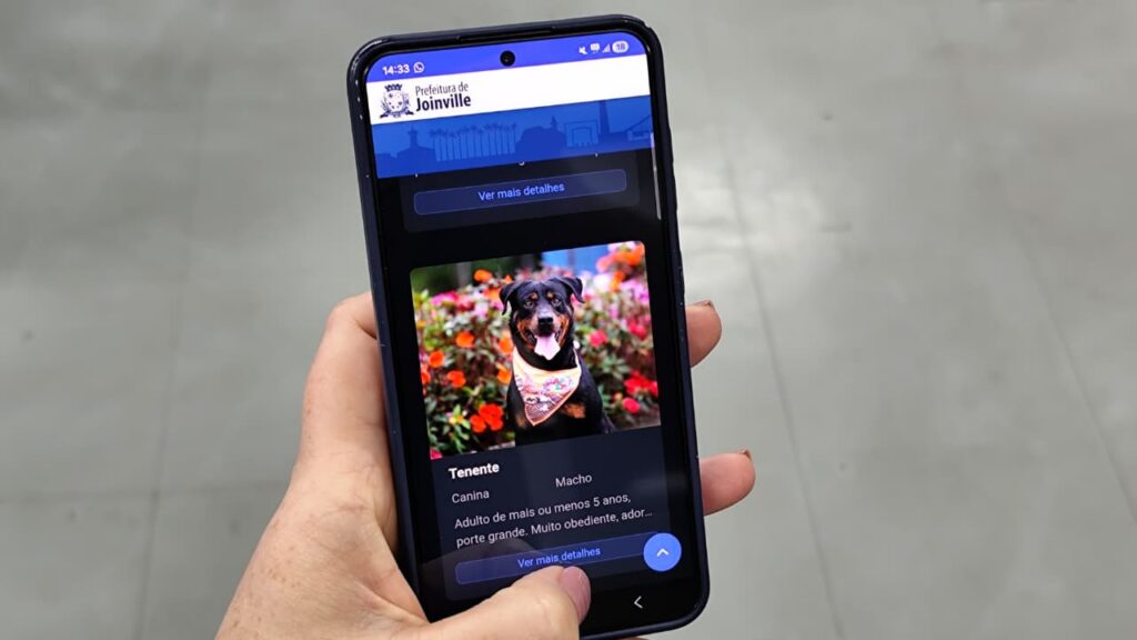 Feira virtual “Adote um Amigo” agora está no aplicativo Joinville Fácil