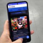 Mão segura um celular que mostra a foto e a descrição de um cão no aplicativo Joinville Fácil