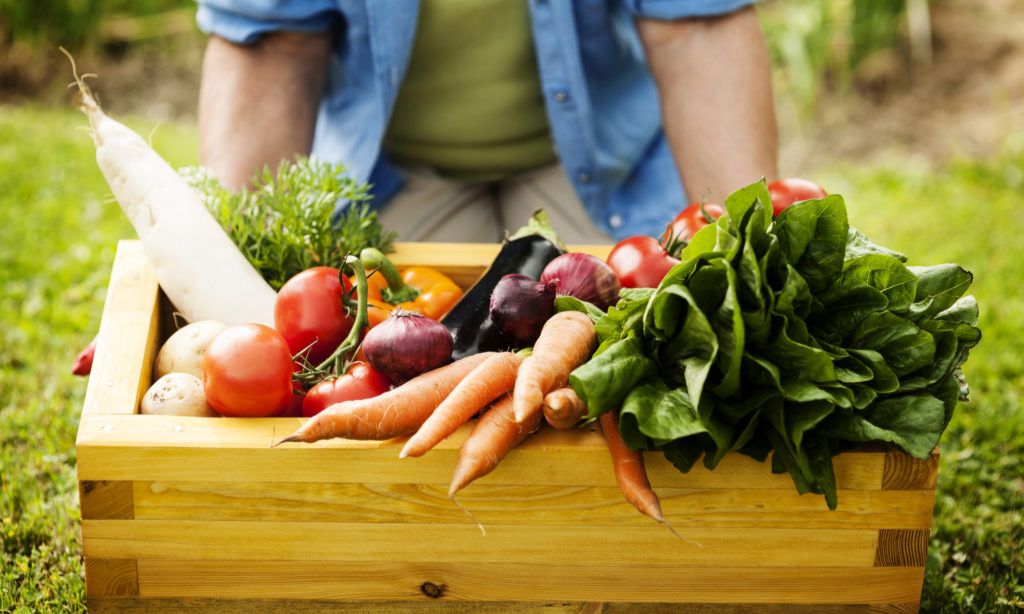 Prefeitura de Joinville orienta produtores rurais que desejam participar do Programa de Aquisição de Alimentos