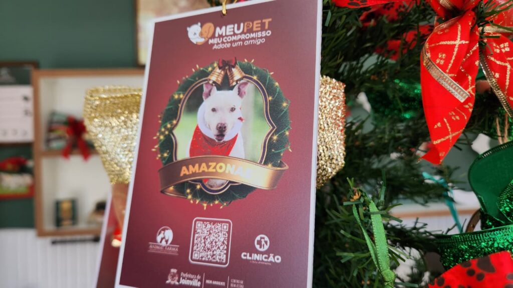 Centro de Bem-Estar Animal lança campanha natalina de adoção de animais