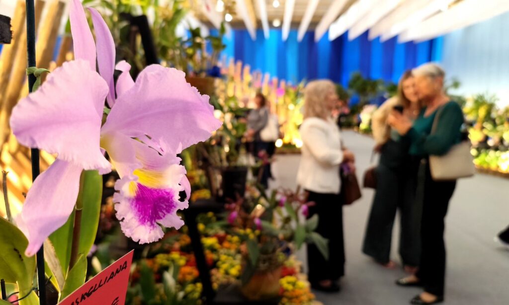 85ª Festa das Flores de Joinville abre oficialmente com cerca de 30 mil flores e plantas em exposição