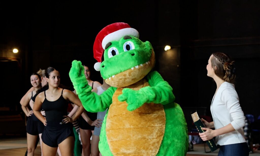 Artistas se reúnem para os últimos ensaios antes do grande espetáculo de abertura do Natal de Joinville
