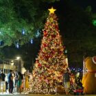 Árvore de Natal iluminada ao centro da imagem, com pessoas, árvores e decoração natalina ao redor