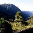 Área com vegetação e morro