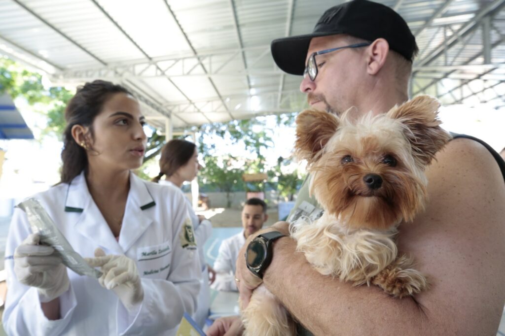 Prefeitura de Joinville promove mutirão de microchipagem de animais na zona Sul