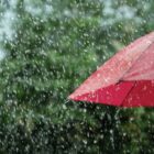 Joinville suspende preventivamente as aulas na Rede Municipal de Ensino, nesta terça-feira