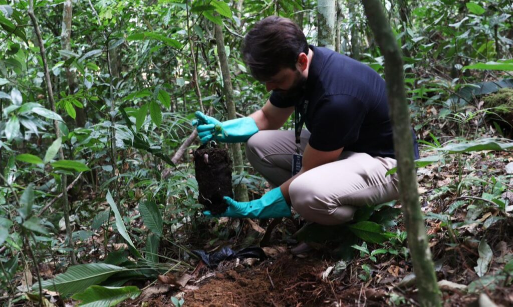 Parque Zoobotânico recebe mudas de árvores nativas em ação de sustentabilidade do Tribunal de Contas de Santa Catarina