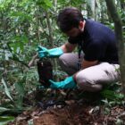 Homem planta muda de árvore em área de mata