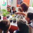 Crianças estão ao redor de bancada onde observam diversos potes de vidro com pequenas mudas de plantas