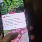 Mão feminina segura celular que recebeu o Alerta Severo