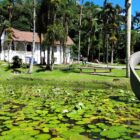 Museu de arte, uma construção antiga com cor branca, no meio de muito verde e perto de um lago
