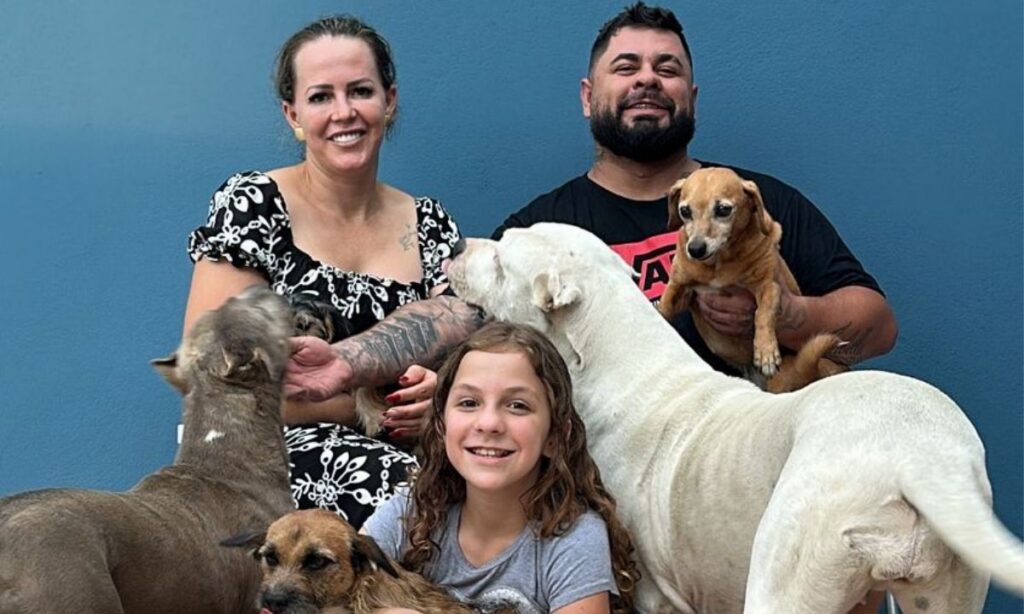 Centro de Bem-Estar Animal de Joinville incentiva a adoção de animais idosos