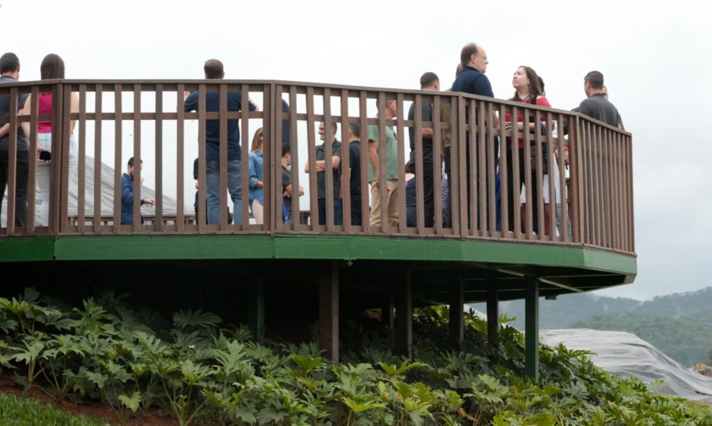 Semana de Educação Ambiental tem programação especial em Joinville