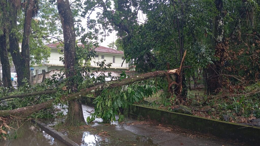 Defesa Civil de Joinville atende ocorrências relacionadas ao temporal desta sexta-feira