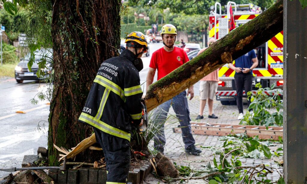 Joinville registra ocorrências pelo temporal e Defesa Civil eleva Plancon para o nível Laranja
