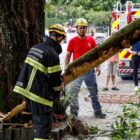 Bombeiros usando capacete e uniforme usam serra para cortar árvore caída após temporal