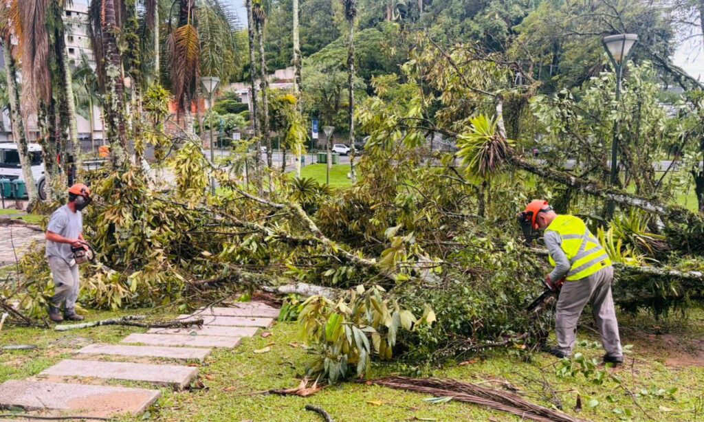 Rajadas de vento chegam a 64 km/h em Joinville