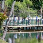 Deck de madeira acima de lago tem gradil verde em meio a árvores. Há pessoas em cima do deck, fazendo fotos e contemplando a natureza