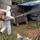 Pessoa completamente vestida com equipamento de proteção branco leva pulverizador nas costas e aplica inseticida contra o mosquito da dengue em uma área com madeiras e telhas dispersas, além de um carro antigo