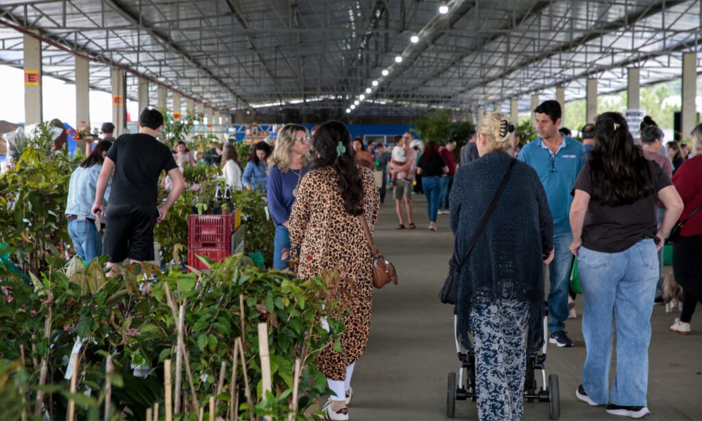 Feira Direto do Campo realiza edição especial de outono no próximo fim de semana