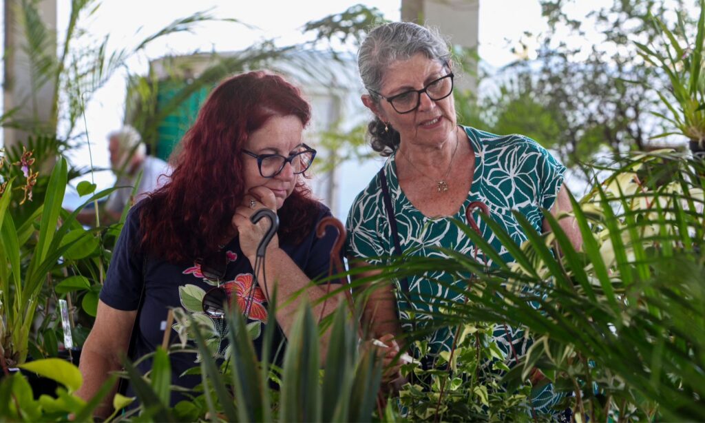 Duas mulheres usando óculos, uma ruiva e outra grisalha, avaliam plantas