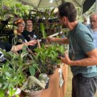 Pessoas em stand de feira com plantas e flroes