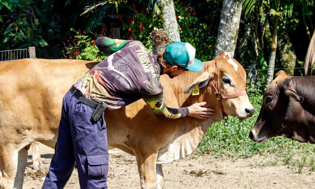 Com inscrições abertas, Programa Juntos pelo Campo promove incentivos à produção rural em Joinville