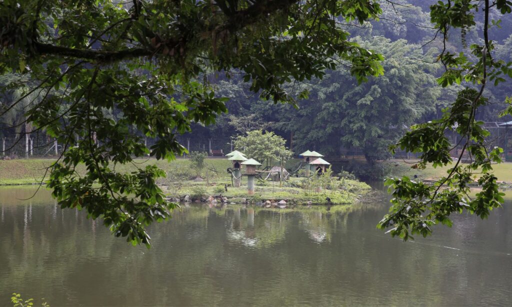 Semana da Água promove palestras, trilhas na mata, oficinas e outras atividades de educação ambiental em Joinville
