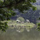 Imagem mostra grande lago com ilha e pequenas casinhas para animais sobre a ilha