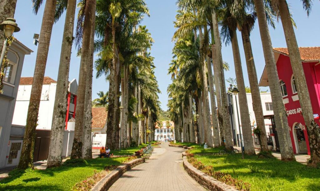Prefeitura de Joinville promove requalificação de passeios no entorno da Rua das Palmeiras