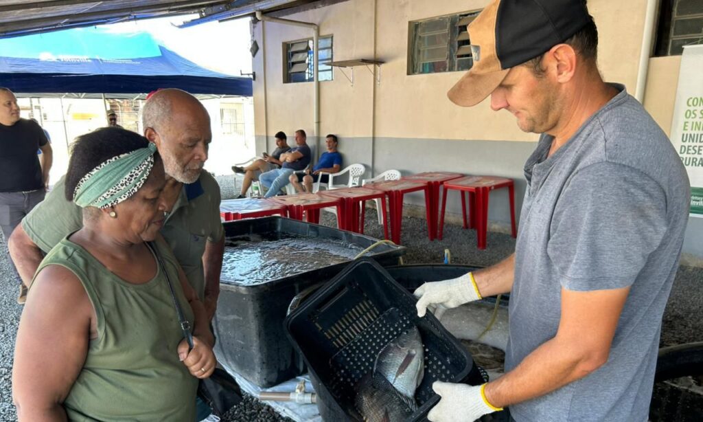 Feira do Peixe Vivo movimenta a comunidade com a proximidade da Sexta-feira Santa