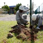Dois homens uniformizados e com capacete trabalham em gramado em instalação de equipamentos de iluminação