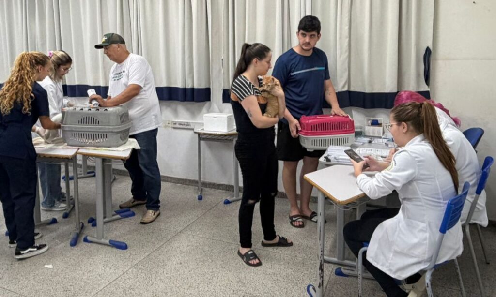 Joinville reforça proteção animal com ações do CBEA no Abril Laranja